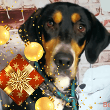 Betsy Christmas