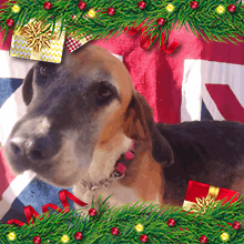 Brianna Christmas